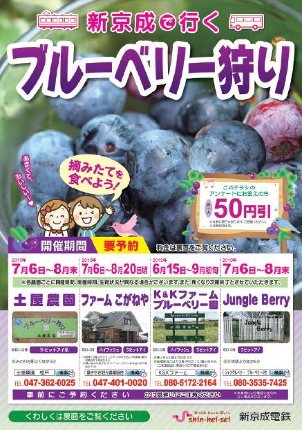 かんとうみんてつ　各社の「季節のイベント（６月・７月編）」（６月２１日まとめ）【写真は新京成電鉄「ブルーベリー狩り」】