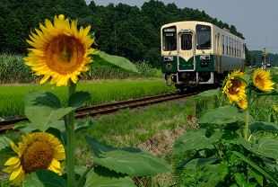 【ภาษาไทย】Photo Gallery Travel Japan by Rails